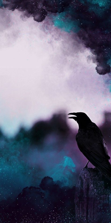 Sandman Aesthetic, The Best Wallpapers, Gothic Wallpaper, Best Wallpapers, Raven Art, Witchy Wallpaper, Crows Ravens, Cellphone Wallpaper Backgrounds, Flower Art Images