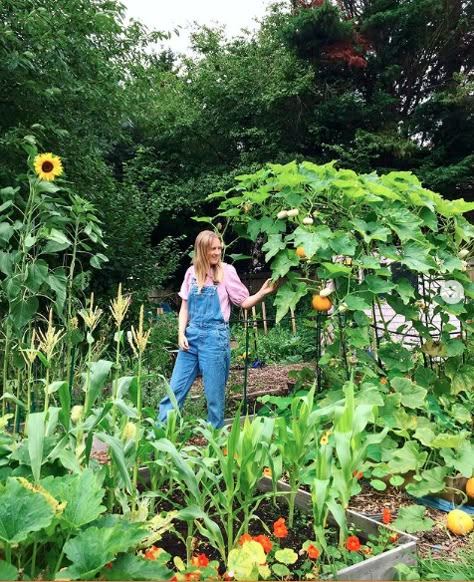 Beautiful allotment vegetable garden Boho Vegetable Garden, Pretty Veggie Garden, Allotment Aesthetic, Garden Allotment Ideas, Beautiful Allotments, Allotments Ideas, Uk Allotment, Cottage Allotment, Fence Around Garden