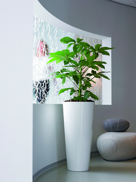 Tall Indoor Planters - Ideas on Foter White Planters Indoor, Large Indoor Plant Pots, White Urn, Tall Indoor Plants, Planters Indoor, Indoor Plant Wall, Large Indoor Plants, Inside Plants, White Planters