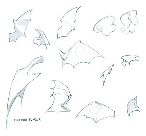 Bat Sketch, Dragon Tutorial, Wings Sketch, Bat Art, Ear Art, Wings Drawing, Body Base Drawing, Digital Art Beginner, Paint Tool Sai