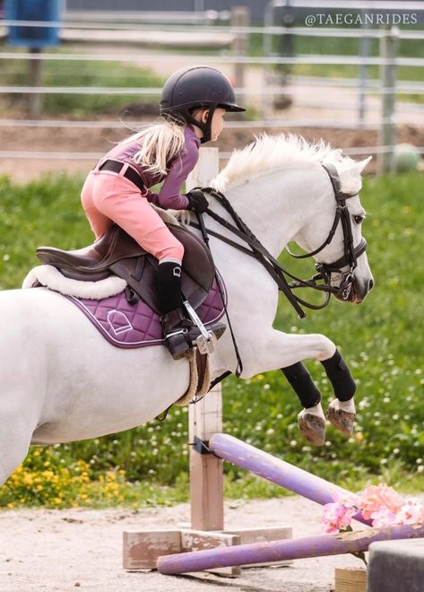 Welsh Pony Jumping, Family Horse Riding, Kids Riding Horses, Pony Rider, Welsh Pony, Riding School, Equestrian Aesthetic, Horse Games, Cute Ponies