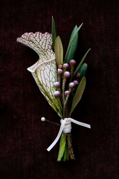 Wedding Ideas: unique-purple-boutonniere Beachy Boutonniere, Simple Groom Boutonniere, Woodsy Boutonniere, Plant Boutonniere, Whimsical Boutonniere, Woodsy Bouquet, Exotic Bouquet, Cobra Lily, Purple Boutonniere