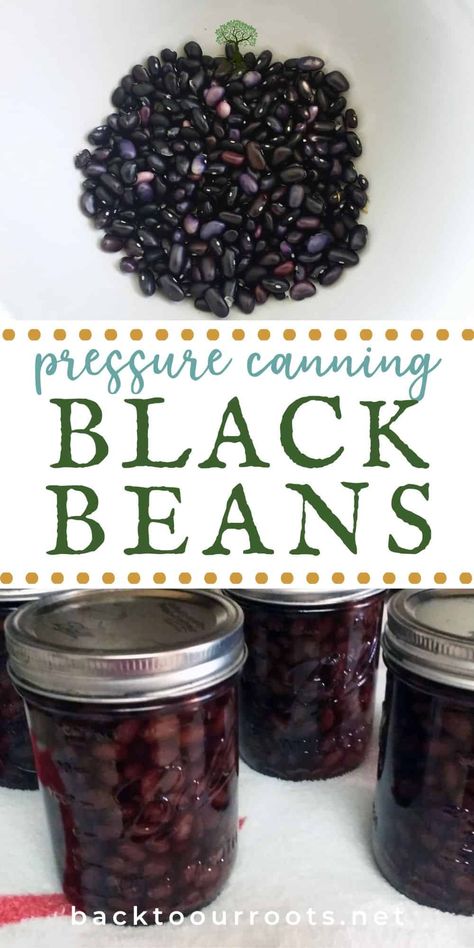 Pressure Canning Black Beans {The No Gas Way} Canning Black Beans, Canning Beans, Pressure Canning Recipes, Can Black Beans, Easy Taco Soup, Dried Black Beans, Mexican Seasoning, Black Bean Recipes, Canning Tips