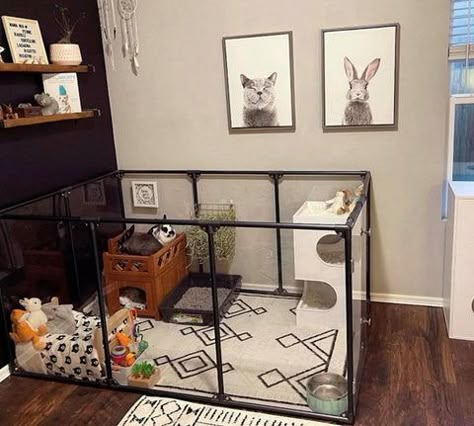 The Ultimate Guide to Setting Up a Perfect Rabbit Pen | Clearly Loved Pets Diy Rabbit Indoor Enclosure, Rabbit Indoor House Ideas Small Space, Bunny Cage Under Loft Bed, Diy Bunny Pen Indoor, Pet Rabbit Enclosure, Bunny Proof Room, Best Rabbit Cage Indoor, Indoor Rabbit Setup Ideas, Inside Bunny Cage Ideas