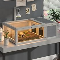 Turtle Cage, Turtle Enclosure, Animal Breeding, Tortoise House, Tortoise Enclosure, Tortoise Habitat, Turtle Habitat, Dark Living Rooms, Reptile Terrarium