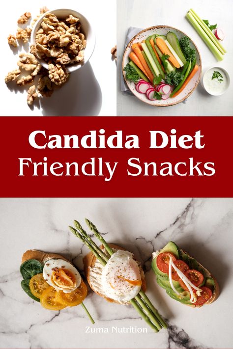 Here is our list of easy and delicious sugar-free, dairy-free, and gluten-free Candida diet snacks. Candida Snacks, Candida Diet Snacks, Candida Cleanse Recipes, Candida Diet Recipes, Paleo Lifestyle, Candida Diet, Diet Snacks, Cleanse Recipes, Balanced Diet