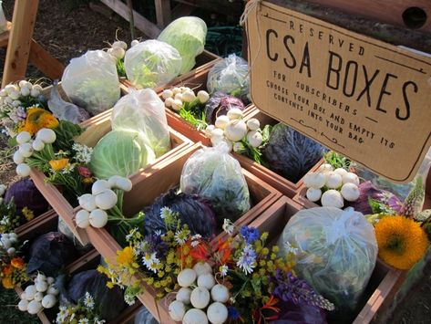 Farm Market Ideas, Urban Greenery, Csa Farm, Csa Box, Farmers Market Display, City Gardens, The Last Leaf, Farming Business, Farm Business