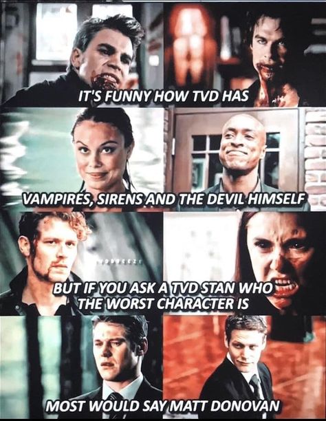 Vampire Diaries And Twilight, Tvd Memes Funny, Funny Tvd Quotes, Yazan Diab, Vampire Elena, Tvd Funny, Tvd Quotes, Vampire Diary, Vampire Diaries Memes