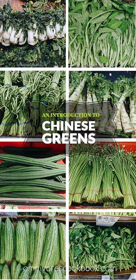 An introduction to Chinese greens, how they look like, how to store, how to prep and cook with them, and related recipes. Asian Greens, Chinese Vegetables, List Of Vegetables, Mapo Tofu, Asian Vegetables, Chinese Greens, Asian Market, Asian Flavors, Chinese Dishes