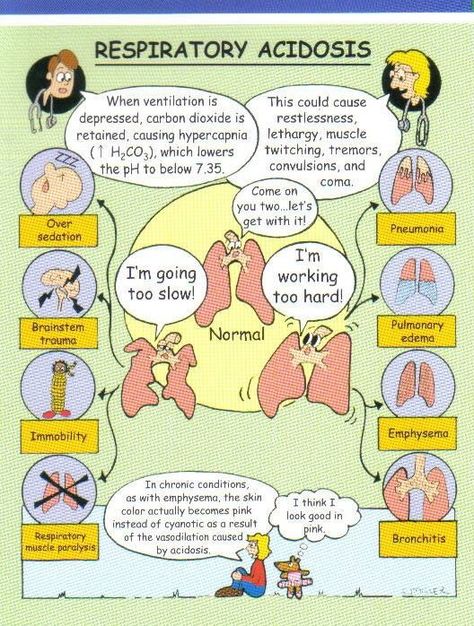 Respiratory Acidosis Respiratory Acidosis, Nursing Information, Nursing Mnemonics, Respiratory Care, Nursing School Survival, Respiratory Therapy, Nurse Rock, Nursing School Studying, Nursing School Tips