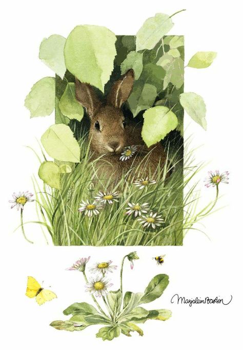 Marjolein Bastin Art, Bunny Painting, Nature Sketch, Marjolein Bastin, Nature Artists, Rabbit Art, Bunny Art, Dutch Artists