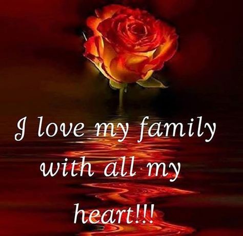 I Love My Family With All My Heart quotes quote kids mom mother family quote… Valentines Quotes For Family, Happy Valentines Day Family, Love My Family Quotes, Funny Good Morning Images, I Love My Family, My Children Quotes, Valentines Day Wishes, Mother Family, Good Morning Image Quotes