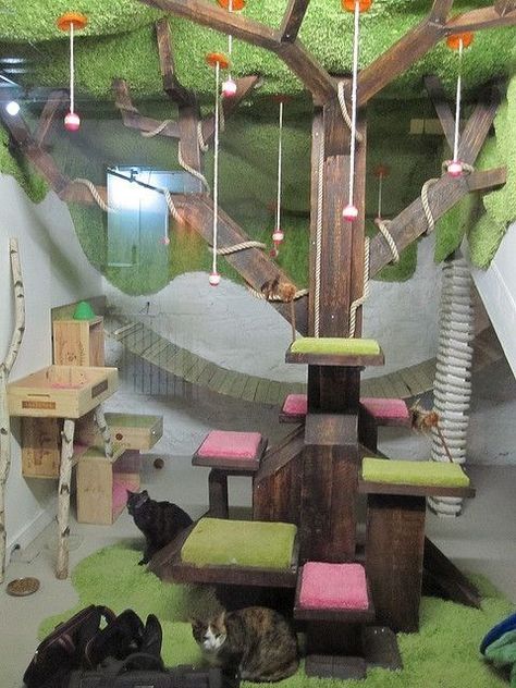 18 Amazing Cat Room Designs For Your Inspiration - I Can Has Cheezburger? Katt Diy, Chat Diy, Cat Towers, Cat Playground, Ideal Toys, Cat Enclosure, Cat Shelves, Animal Room, Cat Condo