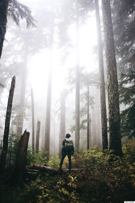 These Mind-Blowing And Humbling Instagram Photos Will Remind You Of Earths Wild Beauty Hiking Photography, Creative Photography Techniques, Wild Beauty, Outdoor Portraits, Adventure Photography, Forest Photography, Trik Fotografi, Photography Poses For Men, Photography Techniques