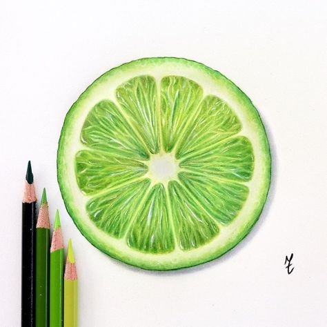 slice of lime 💚 . . . . . #prismacolorpencils #prismacolor #drawing #drawings #draw #coloredpencils #color #coloredpencil #coloring #art… Realistic Fruit Drawing Colored Pencils, Lime Slice Drawing, Lime Sketch, Colored Pencil Artwork Easy, Realistic Fruit Drawing, Lime Drawings, Colored Pencil Drawing Ideas, Fruit Drawings, Lime Art