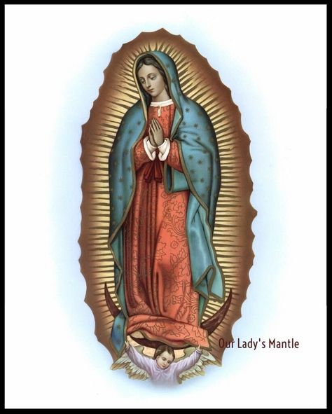 Virgen Mary Tattoo, Latin Decor, Virgin Mary Tattoo, Mexican Art Tattoos, Virgin Mary Art, Mexican Culture Art, Catholic Pictures, Catholic Statues, Virgin Of Guadalupe