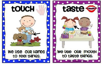 Kindergarten 5 Senses, 5 Senses Poster, Rhyming Poems For Kids, Five Senses Preschool, Learning Folder, 5 Senses Activities, Senses Preschool, Book Bin Labels, September Themes