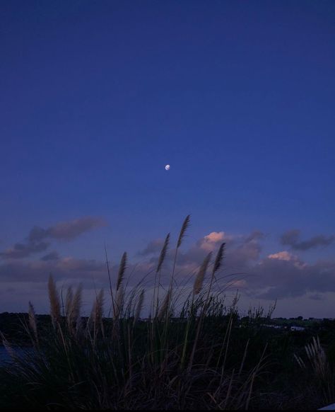 Blue Hour Photography, Blue Dream, Blue Hour, Wallpaper For Your Phone, Night Aesthetic, Aesthetic Images, Beach Aesthetic, Sky Aesthetic, Blue Tones