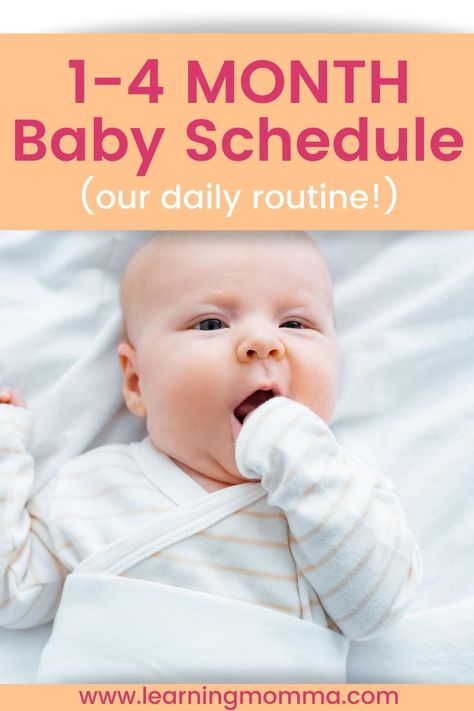 7 Month Old Schedule, 2 Month Old Schedule, 9 Month Old Schedule, 3 Month Old Sleep, Three Month Baby, Three Month Old Baby, 2 Month Old Baby, Baby Wise, Baby Routine