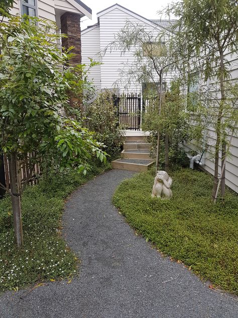 This relaxed 'Urban Forest' themed Auckland garden  includes a narrow space surrounded by other townhouses. New Zealand native trees (Titoki, Kowhai) +fragrant Michelia shrubs are a pleasing combination along the edge of the informal path of 'Gap 7', edged in steel to contain the chip. The spreading groundcover where the sculpture is nestled is native Muehlenbeckia axillaris. The gate from Eucalyptus cladding marks the entry into the shared driveway area. Muehlenbeckia Axillaris, Auckland Garden, Kowhai Tree, Shared Driveway, Garden Inspo, Urban Forest, Planting Ideas, Landscape Designer, Garden Makeover