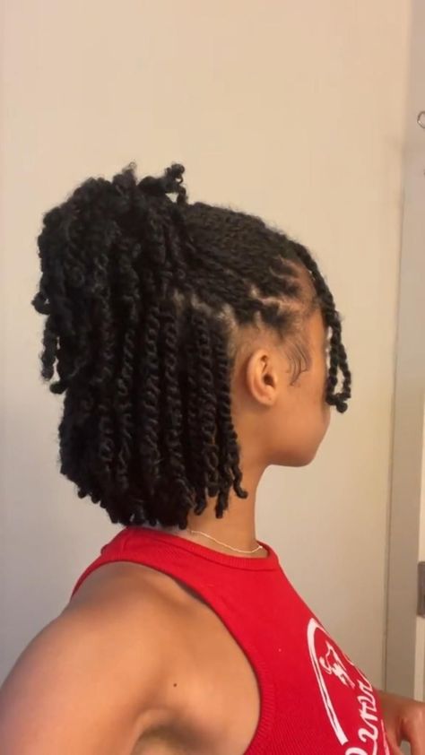 Easy Protective Styles, Mini Twists Natural Hair, Cabello Afro Natural, High Fashion Hair, Protective Hairstyles For Natural Hair, Quick Natural Hair Styles, Natural Hair Tutorials, Girls Natural Hairstyles, Natural Hair Twists