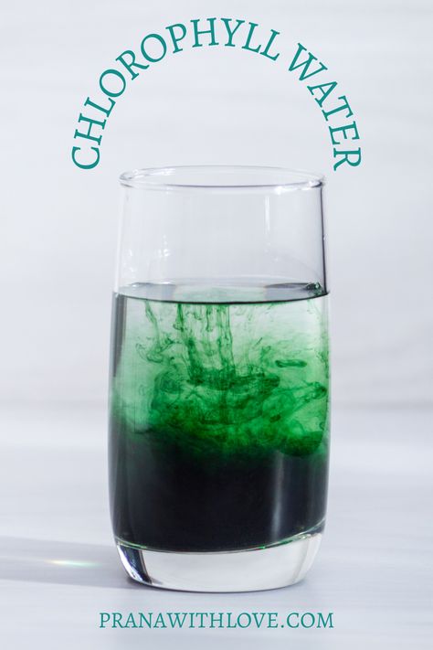 Drinking Chlorophyll, Chlorophyll Water, Pinterest Predicts, Pitta Dosha, Liver Issues, Green Eating, Ayurvedic Remedies, Blemish Remover, Nutritious Diet