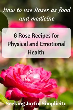 Healing medicine of the rose and roses as food and medicine with recipes for making rose elixir, rose honey, rose infused vinegar, rose tinctures, and rose water Rose Tincture Benefits, Rose Tincture, Rose Elixir, Wild Rose Detox, Wild Rose Detox Recipes, Infused Vinegars, Ornamental Flower, Rose Recipes, Honey Rose