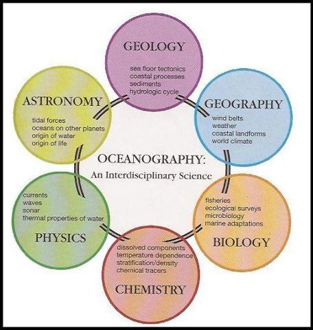 Oceanography an interdisciplinary science Oceanography Notes, Marine Archeology, Oceanography Aesthetic, Oceanography Marine Biology, Marine Archaeology, Science Images, Downtown Indianapolis, Marine Science, Wildlife Biologist