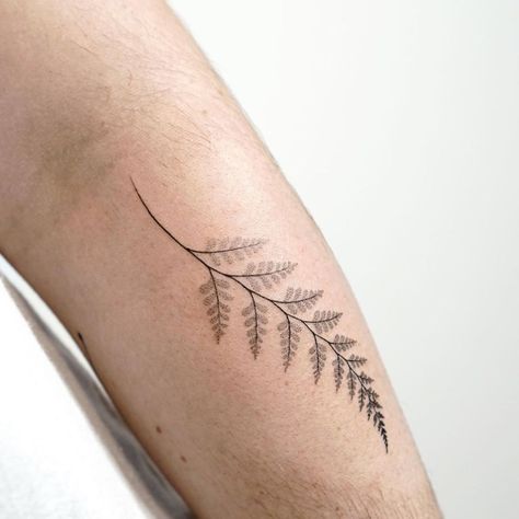 Silver Fern Tattoo, Fern Tattoo, Tattoos To Cover Scars, Leaf Tattoo, Vine Tattoos, Botanical Tattoo, Silver Fern, Appointments Available, Sleeve Tattoos For Women