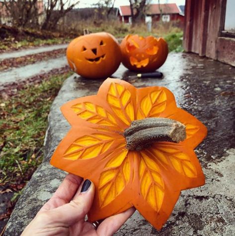 Awesome Pumpkin Carvings, Unique Pumpkin Carving Ideas, Cat Pumpkin Carving, Cute Pumpkin Carving, Pumkin Carving, Halloween Pumpkin Carving Stencils, Halloween Decor Diy, Creative Pumpkin Carving, Amazing Pumpkin Carving