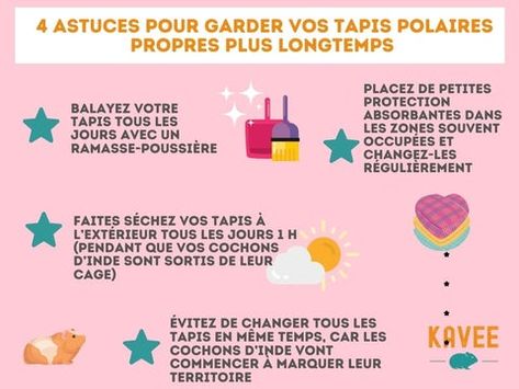 Le guide ultime des tapis polaires pour cochons d’Inde - Kavee Blog FR – Kavee - Cavy cages Cavy Cage