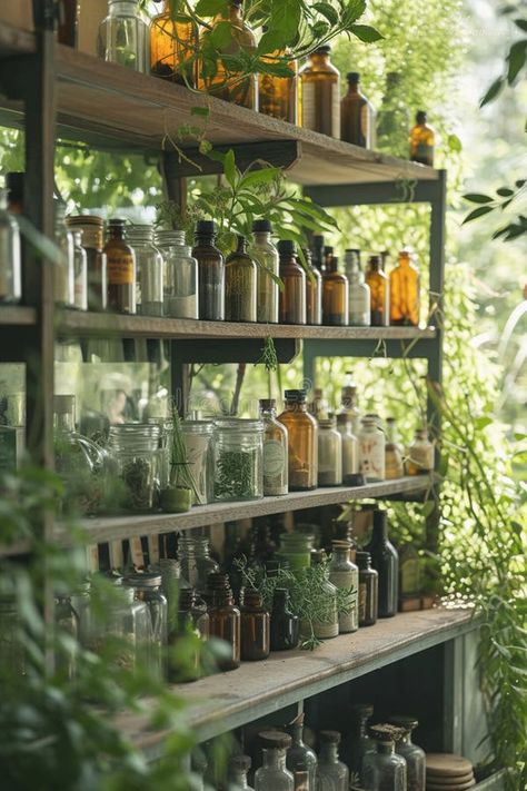 A room with lots of glass bottles and herbs royalty free stock images Herbal Apothecary Aesthetic Room, Home Apothecary Room Decorating Ideas, Apothecary Esthetics, At Home Apothecary, Home Apothecary Room, Planter Aesthetic, Modern Apothecary Aesthetic, Herb Aesthetic, Herbal Apothecary Aesthetic