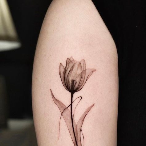 Tulip Moon Tattoo, Xray Tulip Tattoo, Tulip Tattoo Black And White, Double Tulip Tattoo, Detailed Tulip Tattoo, Tattoos