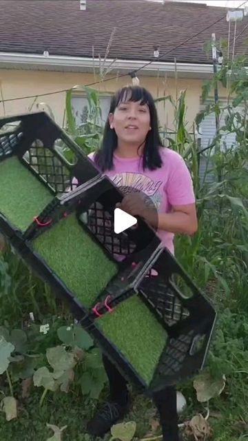 The Backyard Farms on Instagram: "DIY Nesting Boxes Using Crates!  If you are designing them for your chickens to actually lay eggs in them, I would recommend using wood shavings or the laying pads that are made out of hay.   They seem to like laying on those more. I use the turf pads as shown in this video but only for the ground when they sleep to catch the poop during the night.   What have you used to create nesting boxes?   .  YT: JerrasGarden  #diy #farmlife #farming #homesteading #homestead #chickensofinstagram #chickens #chicken #poultry #doityourself" Chicken Laying Boxes Ideas Nests, Chicken Coop Egg Boxes Diy, Egg Laying Chicken Coop, Chicken Cages Diy, Chicken Houses Diy, Hen Coop Ideas, Diy Roosting Boxes For Chickens, Diy Hen Nesting Boxes, Diy Chicken Nesting Boxes Ideas