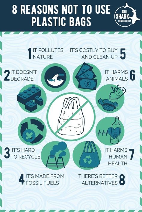 Ban Single Use Plastic Posters, Harmful Effects Of Plastic Poster, Plastic Free Poster, Beat Plastic Pollution Poster, Single Use Plastic Poster, Say No To Plastic Posters Creative, Stop Using Plastic Posters, International Plastic Bag Free Day, Plastic Bag Free Day