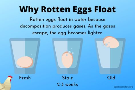 Bad Eggs Float, Eggs Float Or Sink, How Do You Know If Eggs Are Good Or Bad, Good Eggs Vs Bad Eggs, Egg Test For Freshness, Egg Float Test, Float Or Sink, Egg Test, Food Poisoning Symptoms