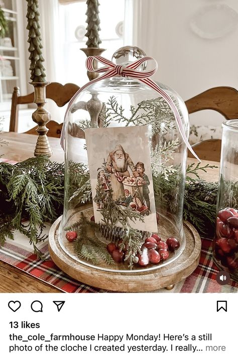 Christmas Cloche Ideas, Christmas Cloche, Cloche Ideas, Christmas Decor Diy Cheap, Cloche Decor, Wednesday Friends, French Country Christmas, Vintage Holiday Decor, Merry Bright Christmas