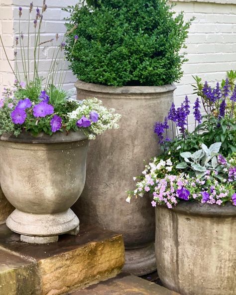 Big Potted Plants, Landscape Inspiration, Oak Park, Garden Gates, Lawn And Garden, Summer Garden, Garden Inspiration, Container Gardening, Birmingham