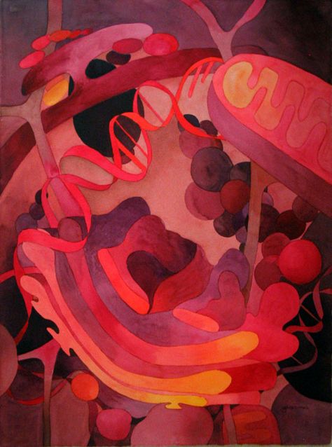 "Miracle of Nature" by Sally Meding. Watercolor 30x22"  Can you locate the DNA, Golgi body, Rough endoplasmic reticulum and mitochondria!  www.sallymeding.com www.just-art.org Mitosis Illustration, Mitochondria Aesthetic, Mitochondria Illustration, Mitosis Project, Micro Biology Art, Acrylic Cell Painting, Microbiology Art, Microscopic Art Forms In The Human Cell, Endoplasmic Reticulum