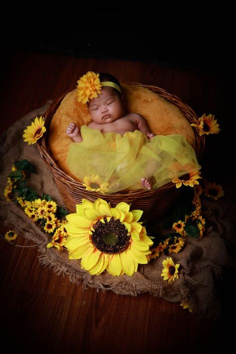 #newborn photography #baby photography #baby photography ideas #photography newborn Newborn Bee Photography, Newborn Sunflower Photoshoot, Newborn Sunflower Field Pictures, Tropical Newborn Photoshoot, Newborn Photoshoot Ideas, Baby Photography Ideas, Butterfly Newborn Photography, Newborn Photo Session, Cute Newborn