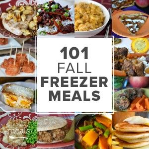 101 Fall Freezer Meals Fall Freezer Meals, Freeze Meatballs, Freeze Meals, Freezer Prep, Freezer Cooking Recipes, Freezer Dinners, Potato Stew, Freezer Recipes, Slow Cooker Freezer Meals