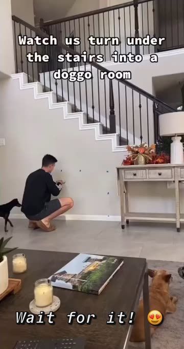 Wait for it! 😍 | Spotlight on Snapchat Dog Space Ideas, Dog Bed Decor, Indoor Dog Room, Dog Under Stairs, Dog House Ideas, Under Stairs Dog House, Dog Nook, Before After Design, Room Under Stairs