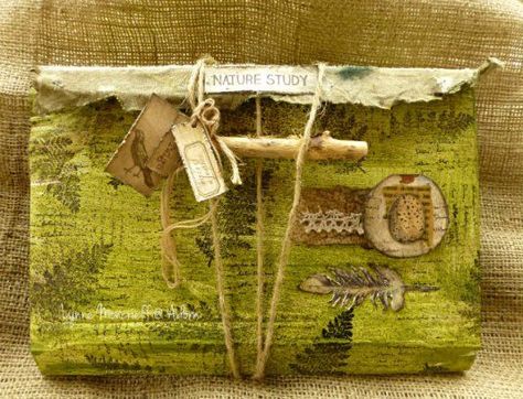 Nature Study (Somerset Studio) Somerset Studio, Walnut Ink, Journal 3, Altered Book Art, Bird Stamp, Cardboard Paper, Nature Study, Tree Bark, Nature Journal