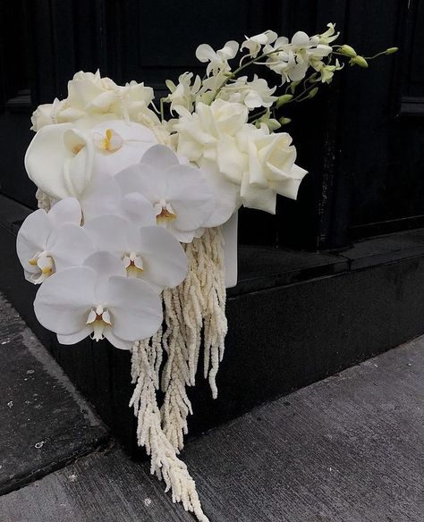 White orchids and roses White Orchid Bridal Bouquet, Orchid Floral Arrangements, Orchids And Roses, White Arrangement, Bushwick Brooklyn, Brand Activations, Classic Elegant Wedding, Orchid Arrangements, Hand Bouquet