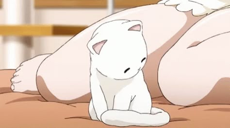 Pet Anime, Animated Banners, Cute Banners, Anime Gifs, Banner Gif, Anime Animals, Anime Gifts, Anime Cat, Aesthetic Gif