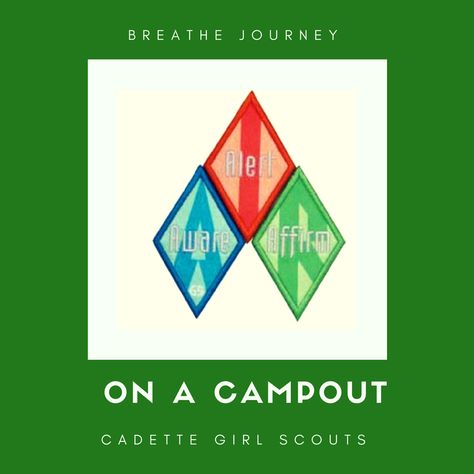 Cadette Breathe Journey, Cadette Media Journey, Cadette Outdoor Journey, Amaze Journey In A Day Cadette, Cadette Journey, Cadette Girl Scout Badges, Girl Scout Badges Requirements, Cadette Badges, Scout Projects