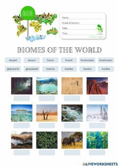 Montessori Geography: Biome Identification (HuntersWoodsPH) Language: English Grade/level: Grade 4 School subject: Geography Main content: Biomes Other contents: habitats, ecosystems Habitat Worksheet, Types Of Habitats, Biome Worksheets, Landforms Worksheet, Grade 6 Biodiversity Activities, Teaching Habitats Second Grade, Biomes Activities, Jamaica Map, Geography Quiz