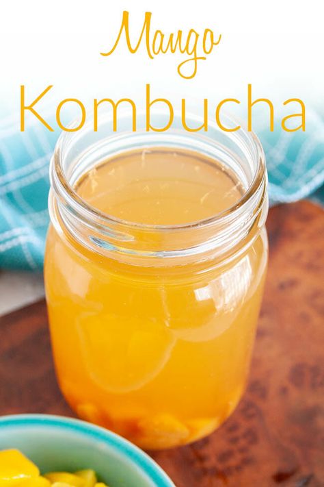 Mango Kombucha (vegan, gluten free) - This sweet fizzy drink is super easy to make. Made with fresh or frozen mango, you can have it anytime! Mango Kombucha, Kombucha Recipes, Kombucha Brewing, Gut Recipes, Homemade Kombucha, Kombucha Recipe, Vegan Tips, Frozen Mango, Vegan Lunch Recipes