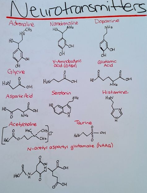 neurotransmitters Physiology Tattoo, Neurotransmitter Tattoo, Acetylcholine Tattoo, Chemical Tattoo, Chemistry Tattoo, Anatomy Physiology, Future Job, Chemical Structure, Future Jobs