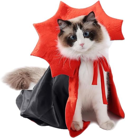 Amazon.com : Finevalue Cat Dog Noble Halloween Cloak Cool Vampire Suit Cosplay Dress Outfit Small Medium Cat Dog Puppy Devil Costume (JZZ008-1) : Pet Supplies Vampire Suit, Dracula Halloween Costume, Cat Halloween Costume Pet, Halloween Cloak, Vampire Halloween Costume, Animal Photoshoot, Devil Costume, Suit Cosplay, Cat Halloween Costume